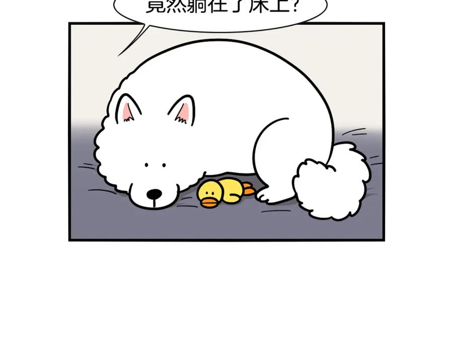 《我的狗子叫棉花》第44话 母爱 第62页
