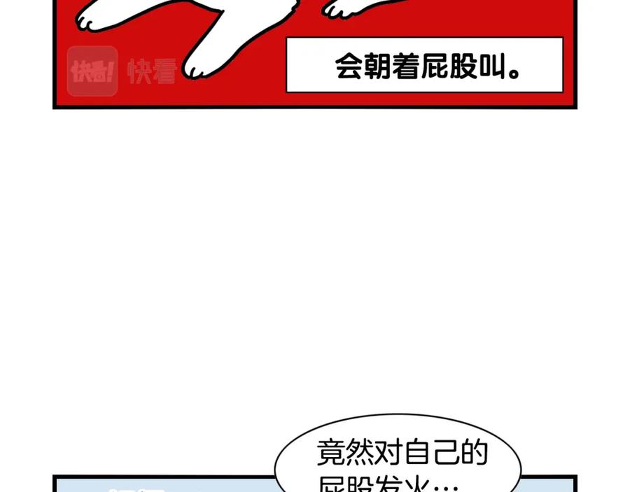 《我的狗子叫棉花》第44话 母爱 第51页