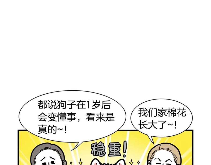 《我的狗子叫棉花》第44话 母爱 第11页