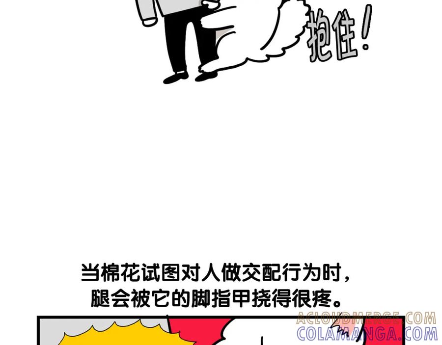 《我的狗子叫棉花》第44话 母爱 第31页