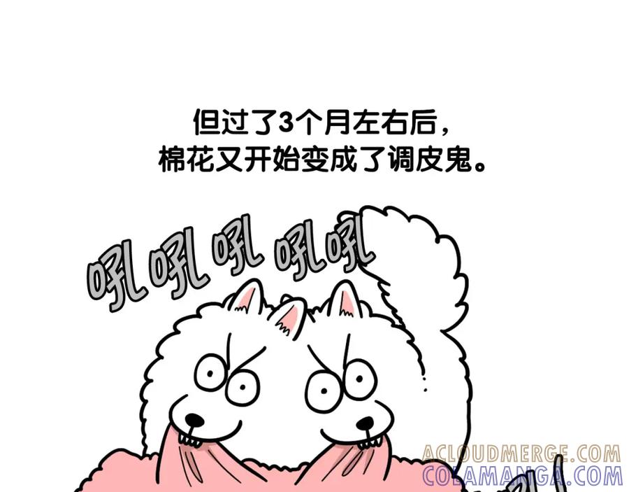 《我的狗子叫棉花》第44话 母爱 第16页