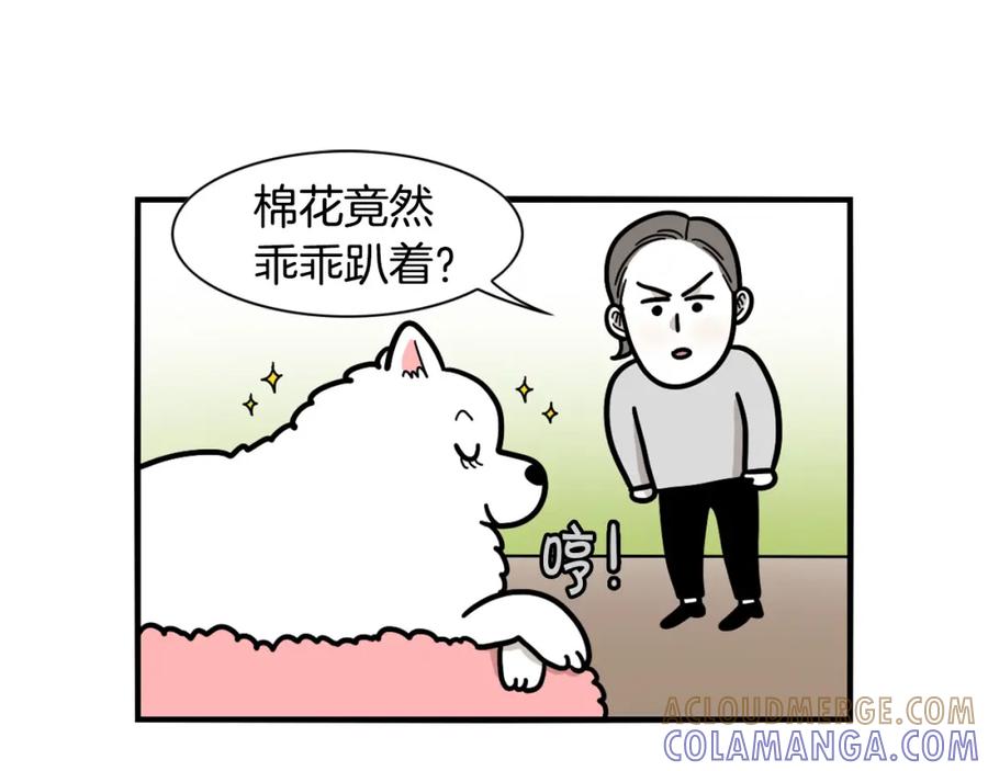 《我的狗子叫棉花》第44话 母爱 第7页