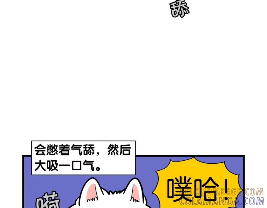 《我的狗子叫棉花》第44话 母爱 第43页