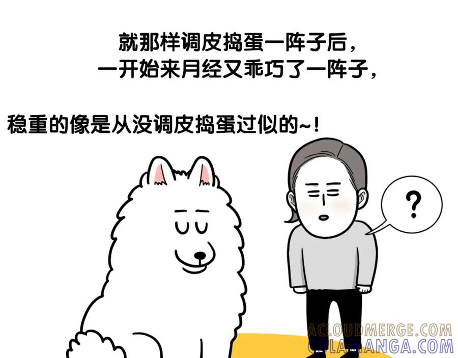 《我的狗子叫棉花》第44话 母爱 第19页
