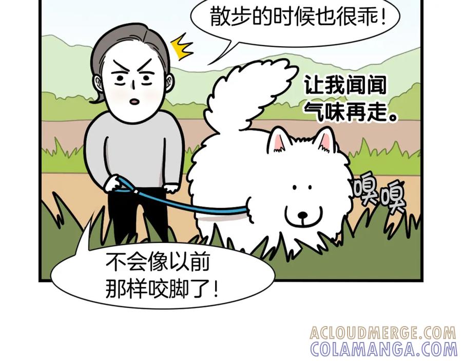 《我的狗子叫棉花》第44话 母爱 第10页