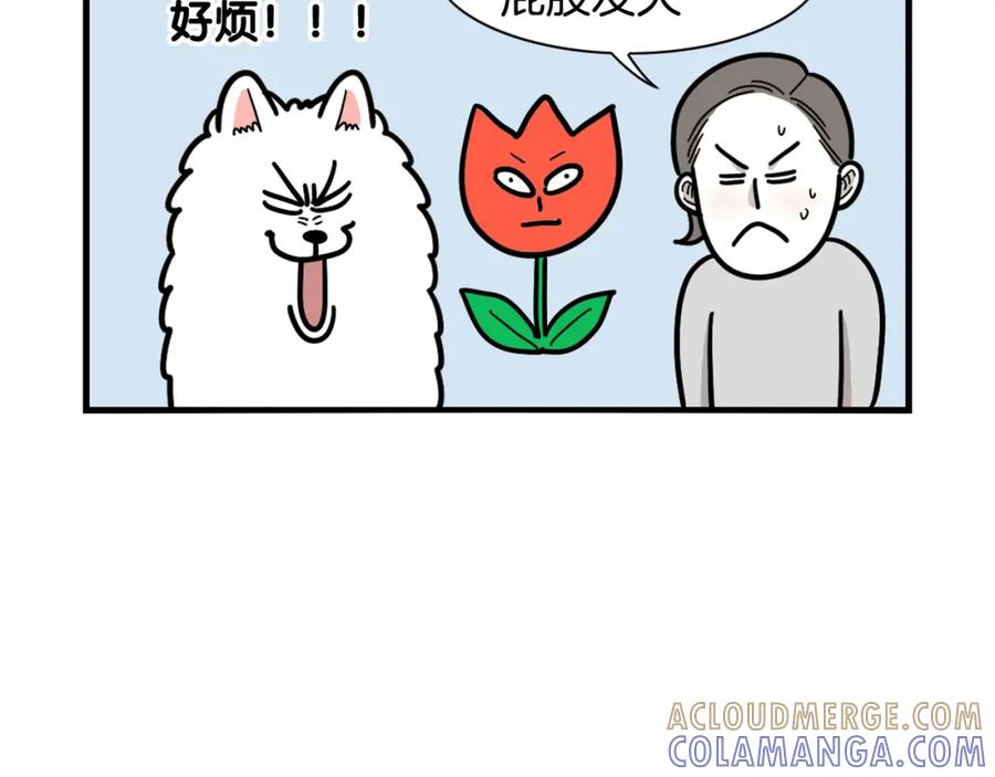 《我的狗子叫棉花》第44话 母爱 第52页