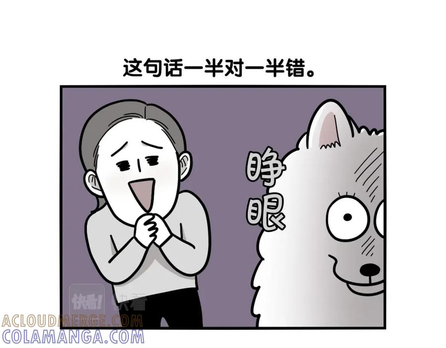 《我的狗子叫棉花》第44话 母爱 第13页