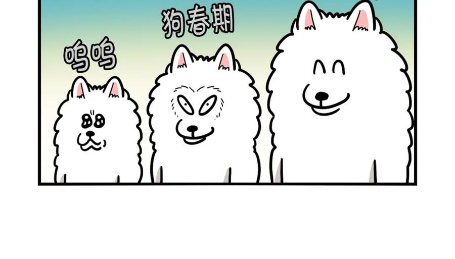 《我的狗子叫棉花》第44话 母爱 第15页