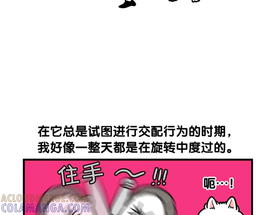 《我的狗子叫棉花》第44话 母爱 第34页
