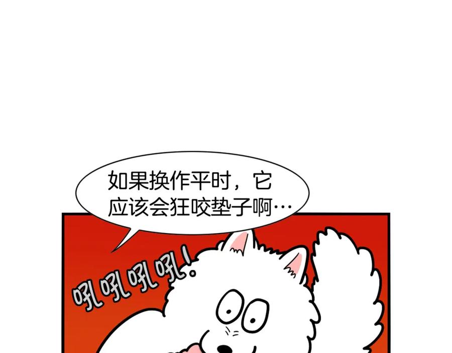 《我的狗子叫棉花》第44话 母爱 第8页
