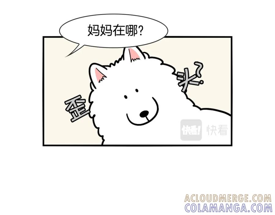 《我的狗子叫棉花》第45话 莫名亲昵 第7页