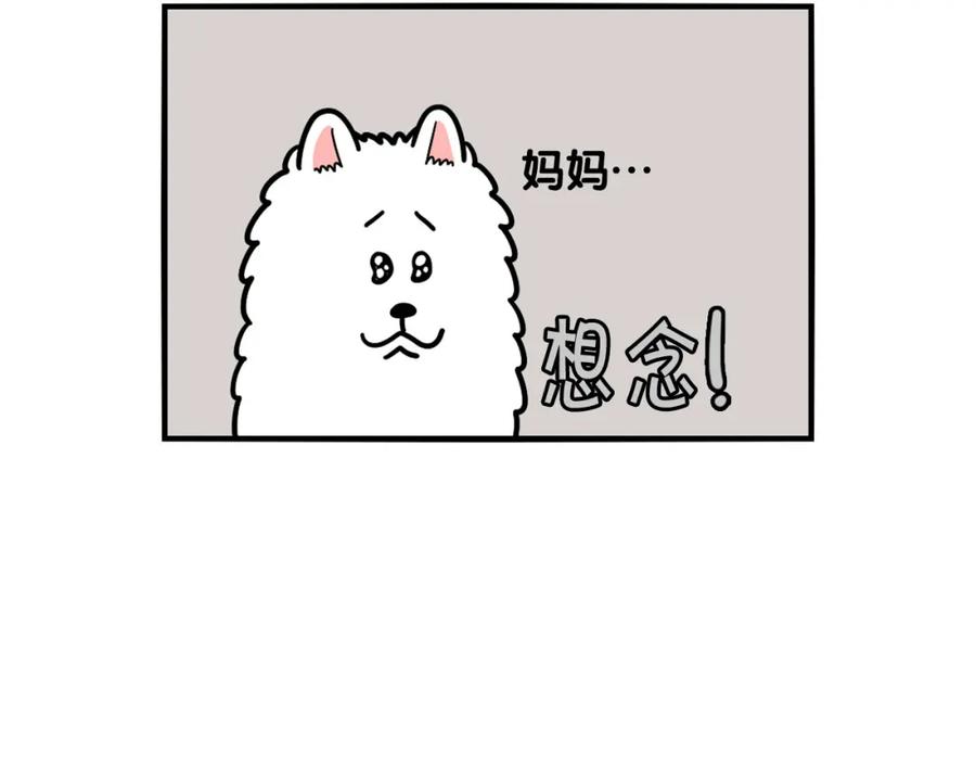 《我的狗子叫棉花》第45话 莫名亲昵 第17页
