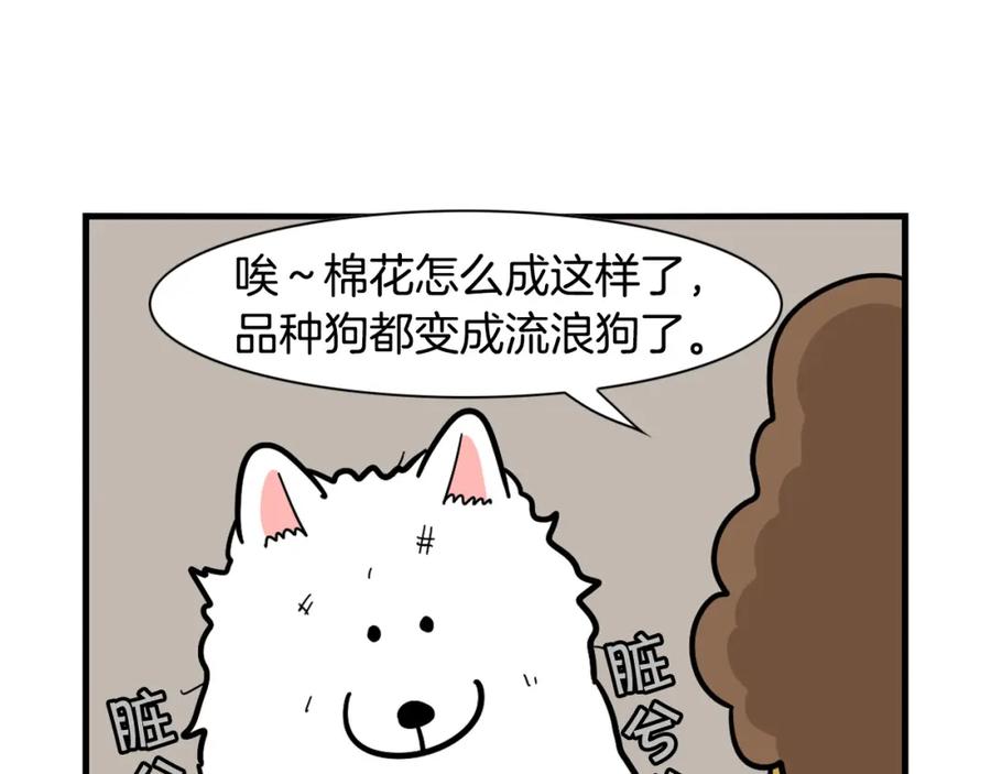 《我的狗子叫棉花》第45话 莫名亲昵 第71页