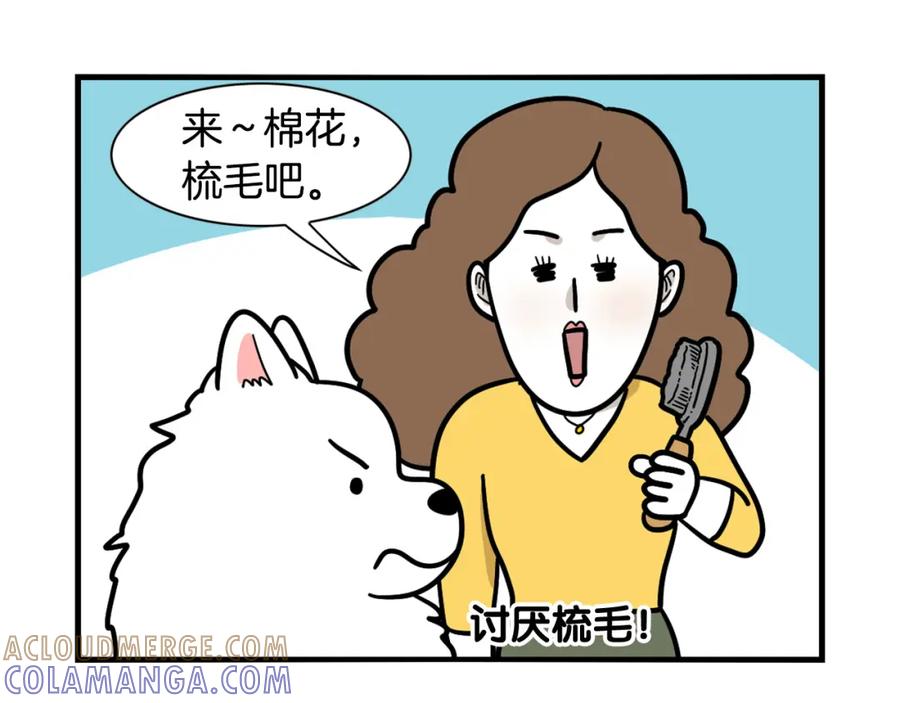 《我的狗子叫棉花》第45话 莫名亲昵 第73页