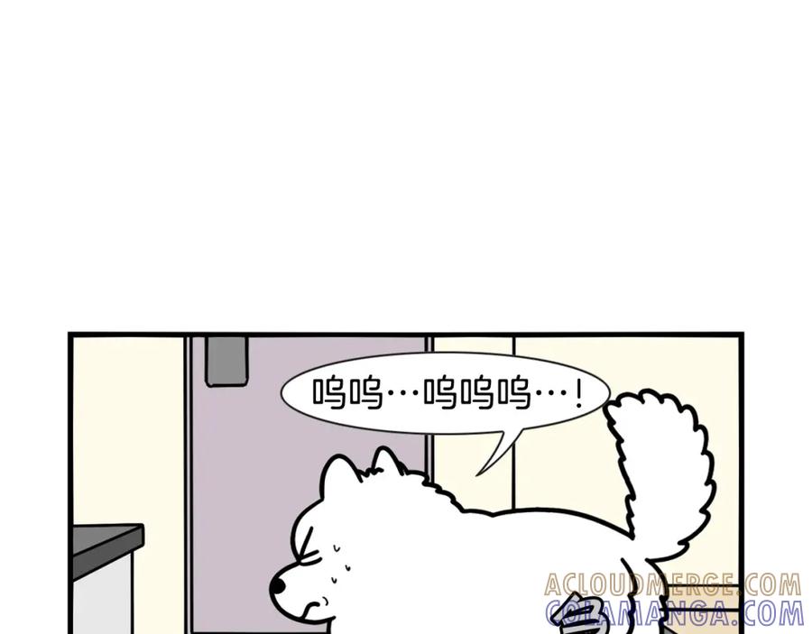 《我的狗子叫棉花》第45话 莫名亲昵 第19页