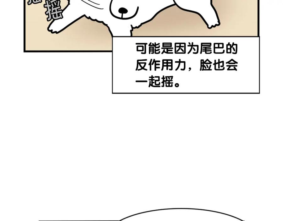 《我的狗子叫棉花》第45话 莫名亲昵 第33页