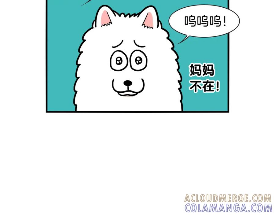 《我的狗子叫棉花》第45话 莫名亲昵 第10页