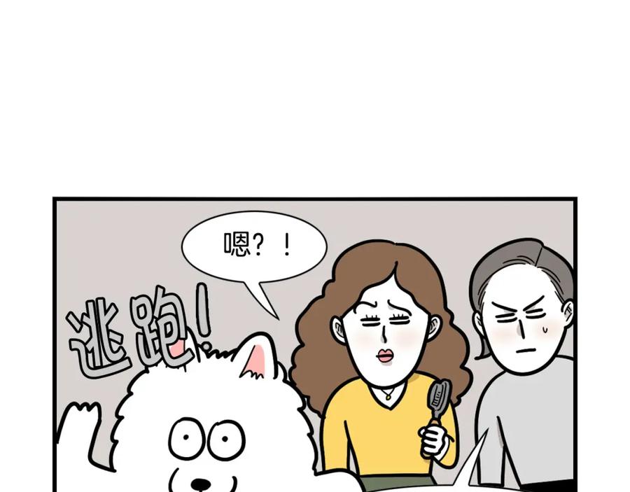 《我的狗子叫棉花》第45话 莫名亲昵 第75页