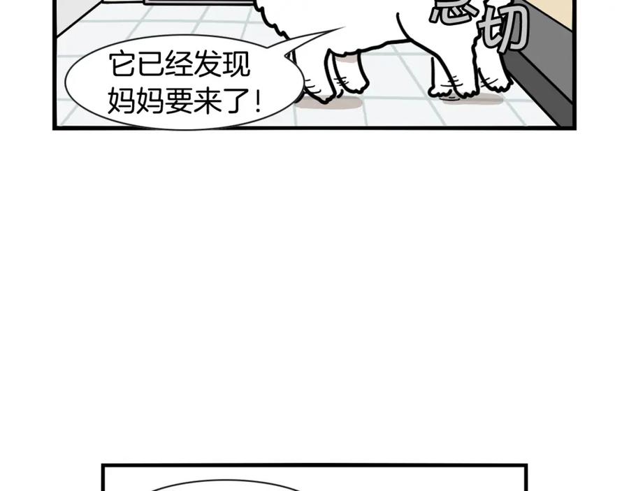 《我的狗子叫棉花》第45话 莫名亲昵 第20页