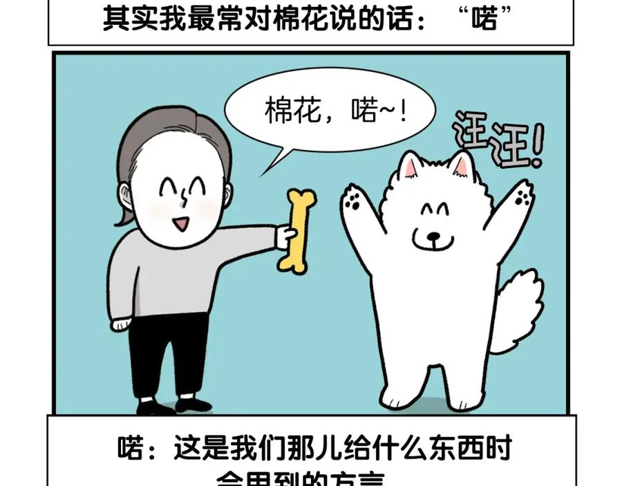 《我的狗子叫棉花》第46话 听不懂话？ 第78页