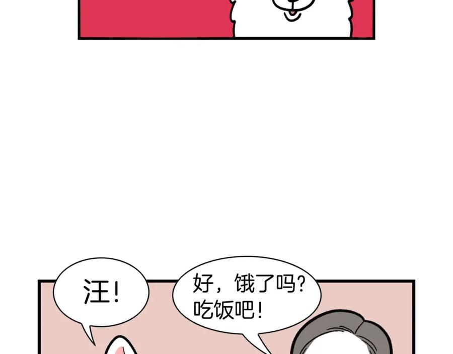 《我的狗子叫棉花》第46话 听不懂话？ 第6页