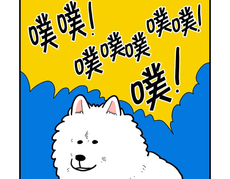 《我的狗子叫棉花》第46话 听不懂话？ 第42页