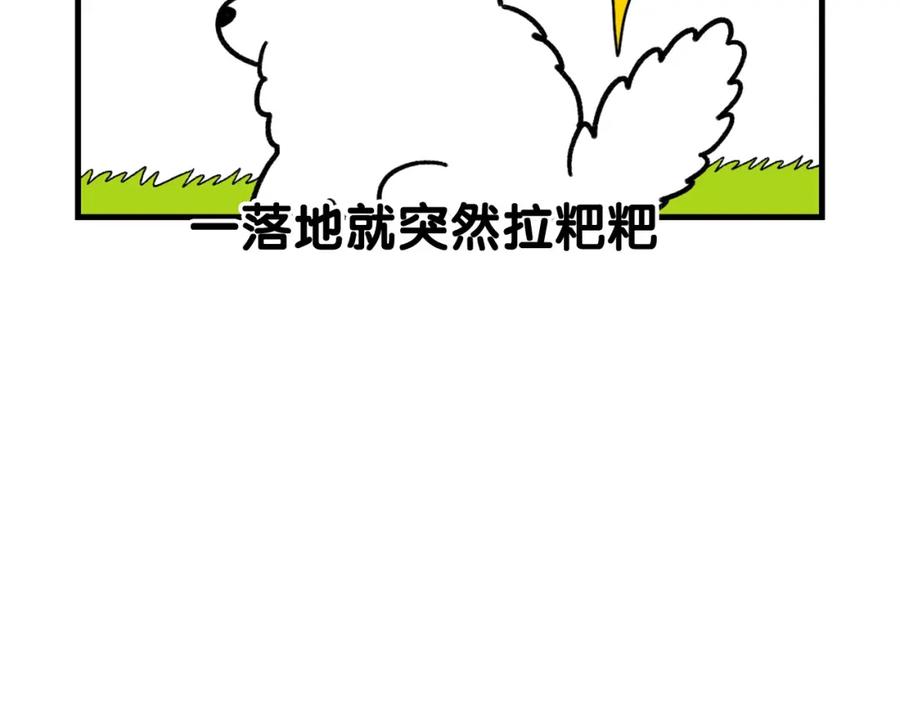 《我的狗子叫棉花》第46话 听不懂话？ 第38页