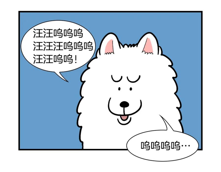 《我的狗子叫棉花》第46话 听不懂话？ 第14页