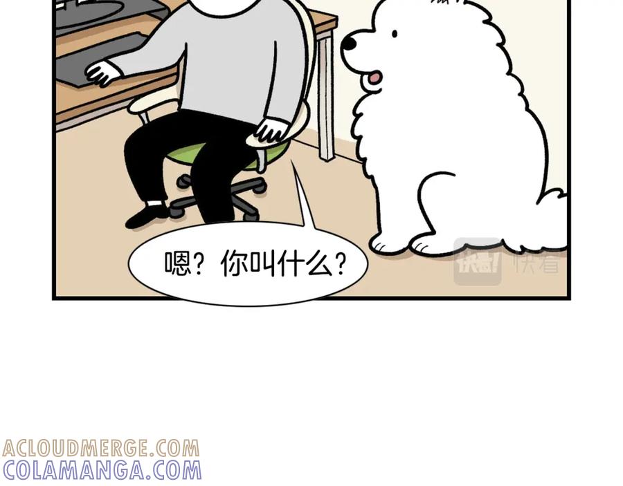 《我的狗子叫棉花》第46话 听不懂话？ 第10页