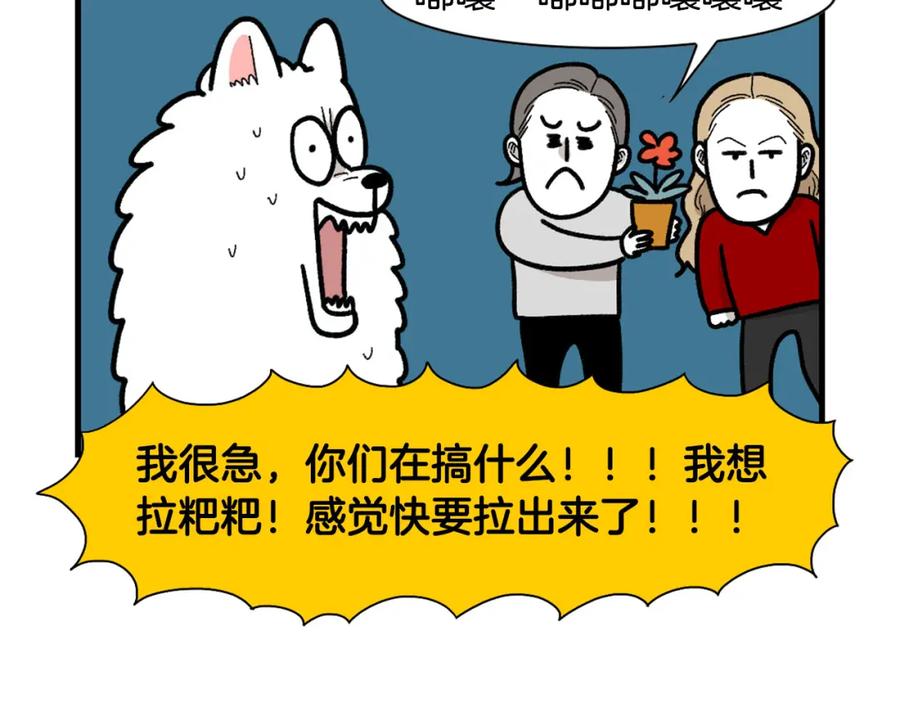《我的狗子叫棉花》第46话 听不懂话？ 第50页