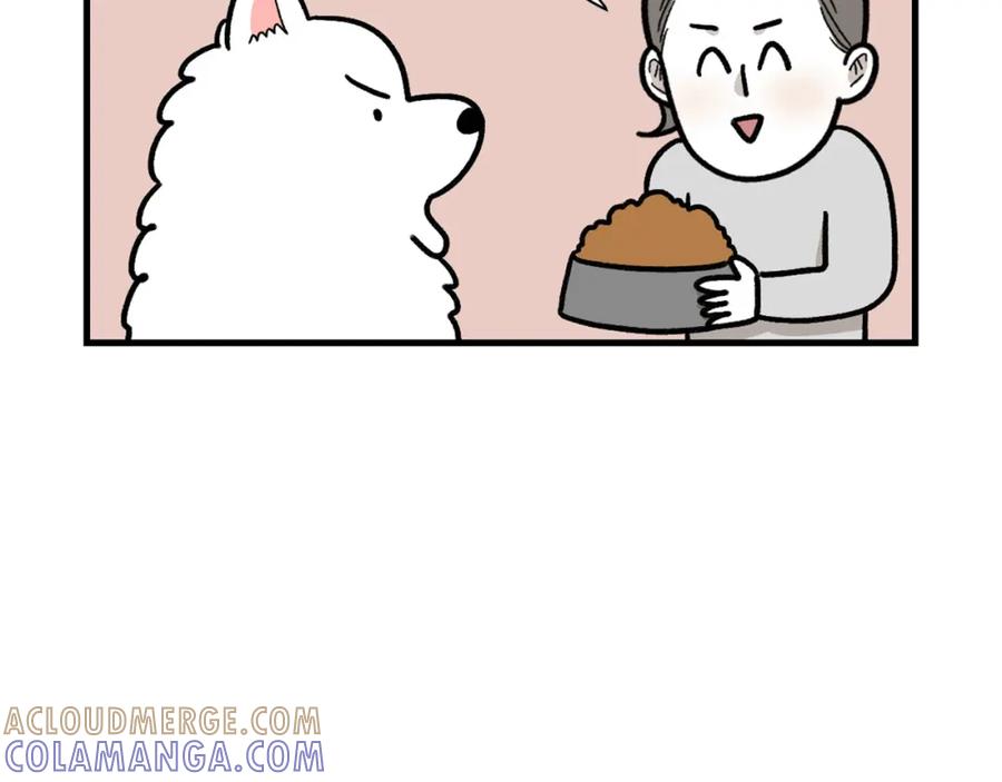《我的狗子叫棉花》第46话 听不懂话？ 第7页
