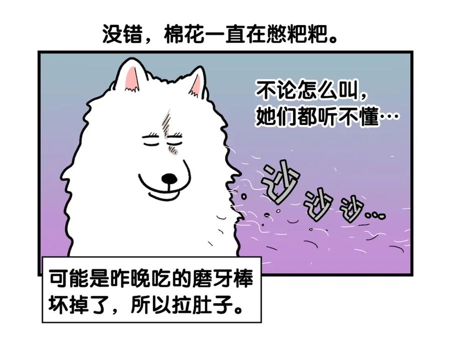 《我的狗子叫棉花》第46话 听不懂话？ 第45页