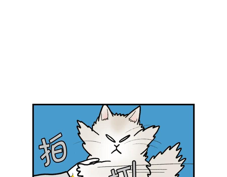 《我的狗子叫棉花》第46话 听不懂话？ 第69页