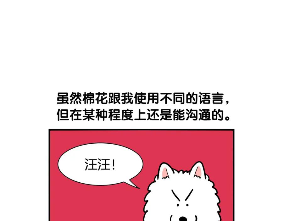 《我的狗子叫棉花》第46话 听不懂话？ 第5页