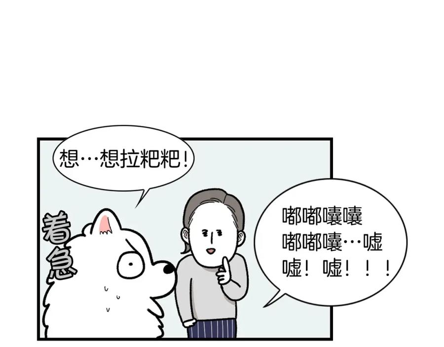 《我的狗子叫棉花》第46话 听不懂话？ 第47页