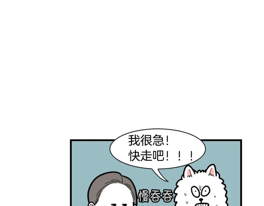 《我的狗子叫棉花》第46话 听不懂话？ 第48页