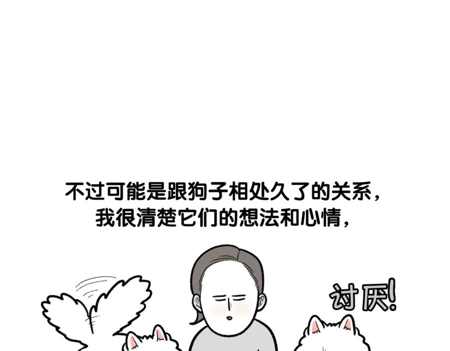 《我的狗子叫棉花》第46话 听不懂话？ 第62页
