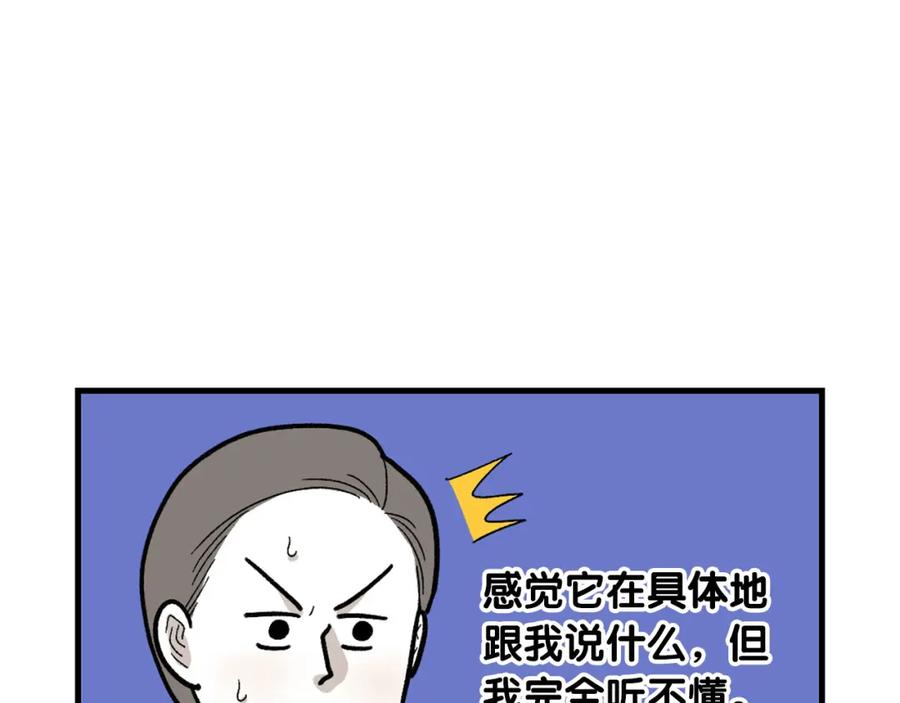 《我的狗子叫棉花》第46话 听不懂话？ 第15页
