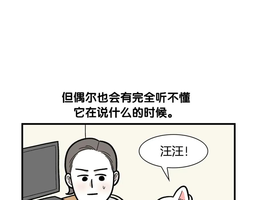 《我的狗子叫棉花》第46话 听不懂话？ 第9页