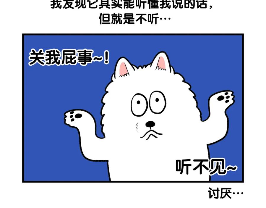 《我的狗子叫棉花》第46话 听不懂话？ 第60页
