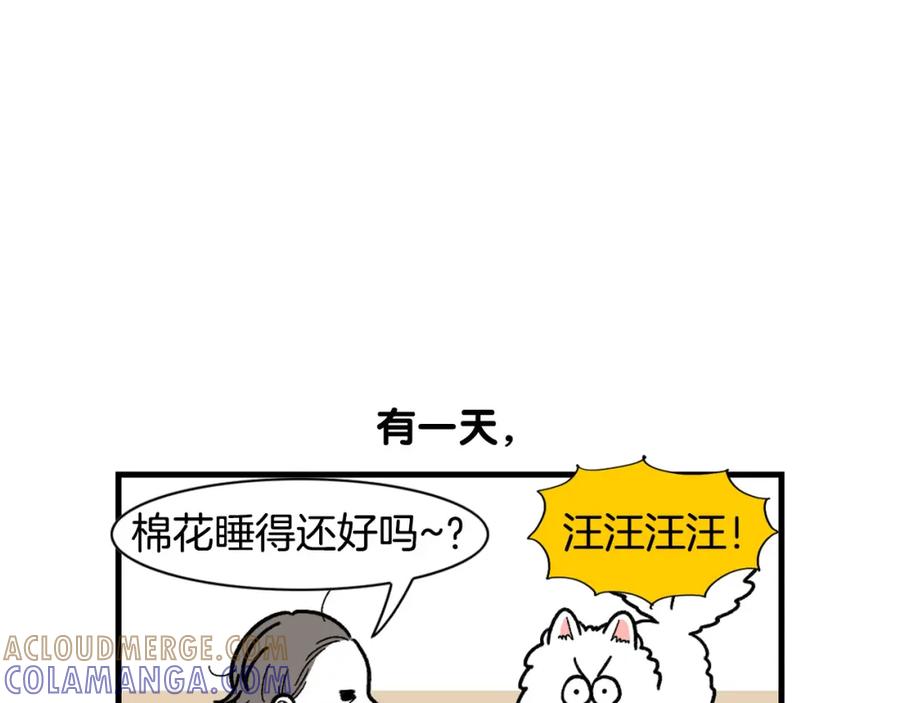 《我的狗子叫棉花》第46话 听不懂话？ 第19页