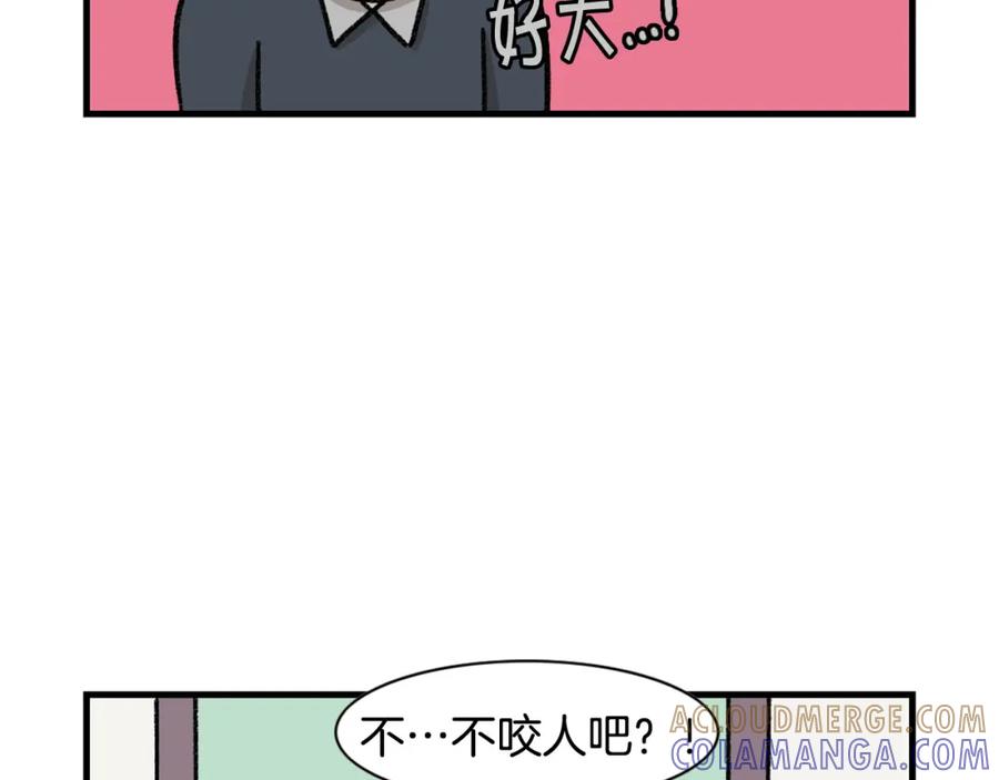 《我的狗子叫棉花》第47话 控制住寄几啊！ 第16页