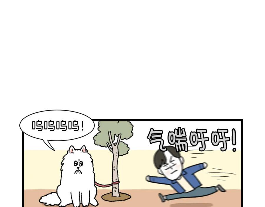 《我的狗子叫棉花》第48话 如有雷同，纯… 第41页