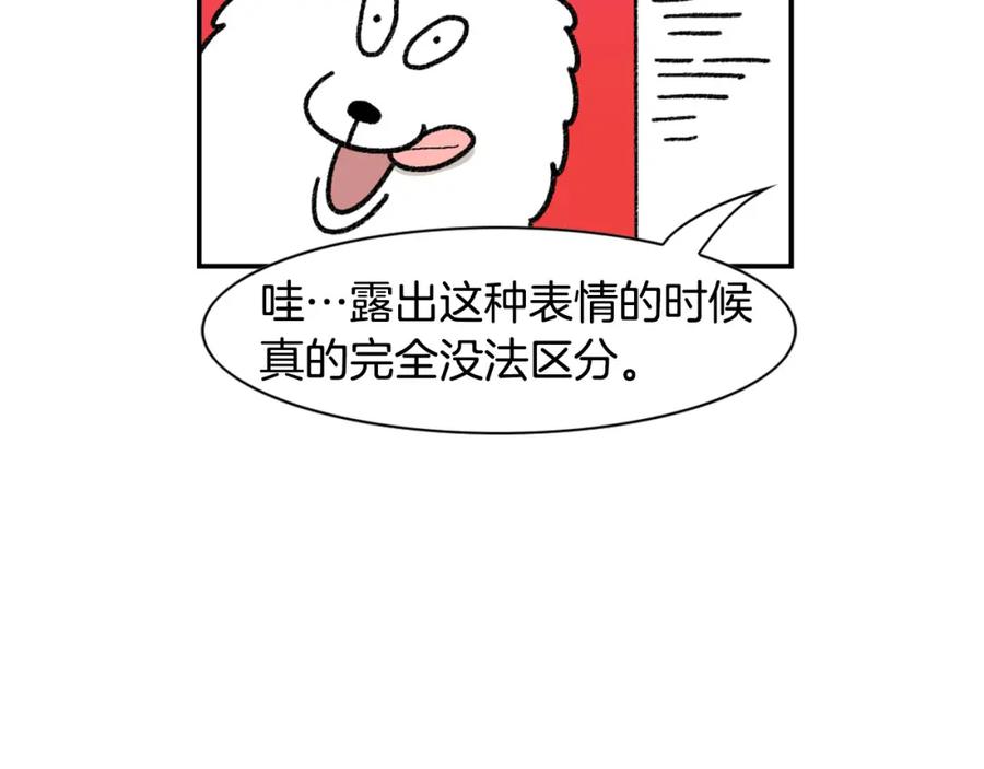 《我的狗子叫棉花》第48话 如有雷同，纯… 第53页