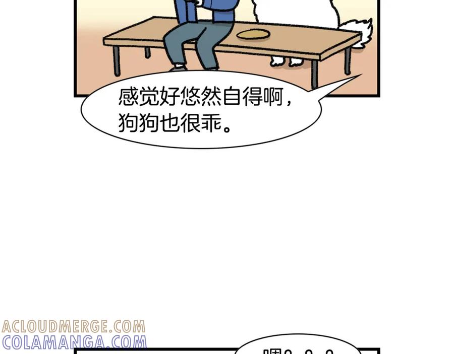 《我的狗子叫棉花》第48话 如有雷同，纯… 第31页