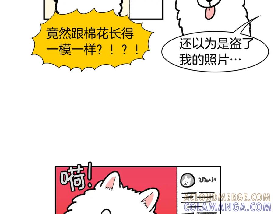 《我的狗子叫棉花》第48话 如有雷同，纯… 第52页