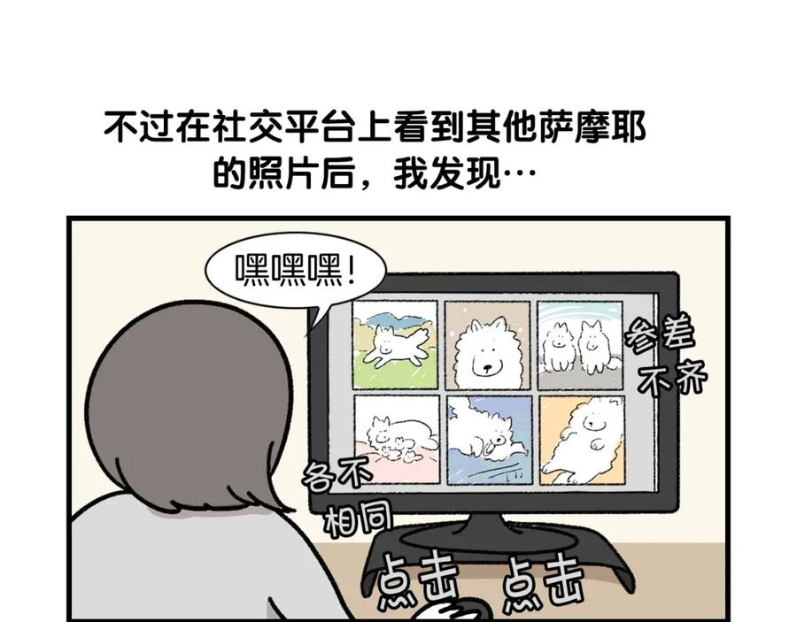《我的狗子叫棉花》第48话 如有雷同，纯… 第50页
