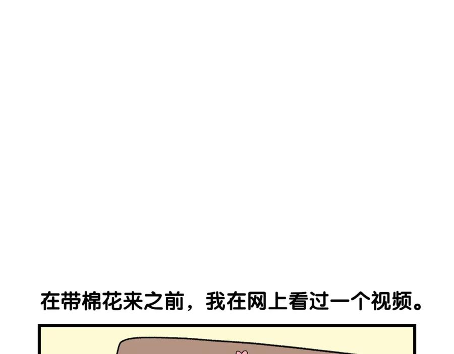 《我的狗子叫棉花》第48话 如有雷同，纯… 第5页