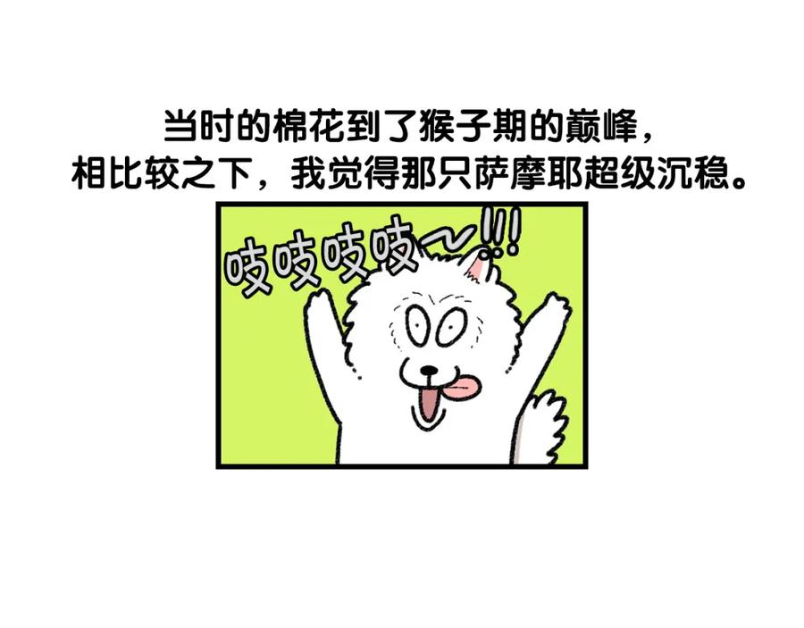 《我的狗子叫棉花》第48话 如有雷同，纯… 第21页