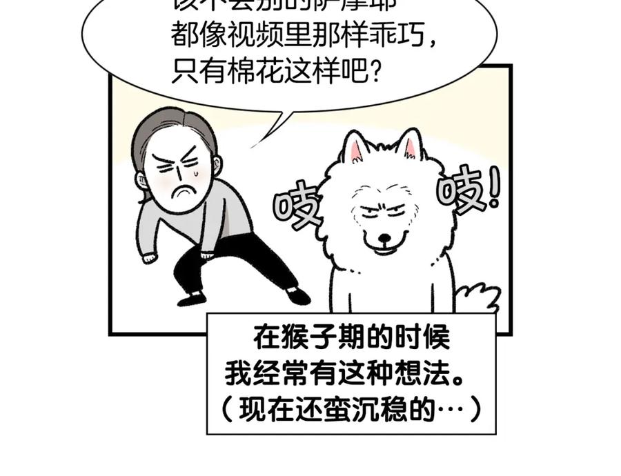 《我的狗子叫棉花》第48话 如有雷同，纯… 第14页
